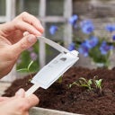 Greeting Seeds