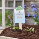 Greeting Seeds