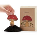 Greeting Card with Seed Plug 