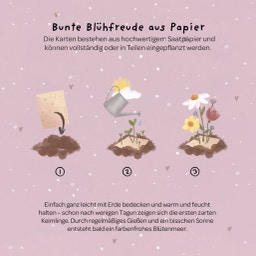 Grußkarten aus Saatpapier - Hat die Blumen einen Knick, war die Hummel wohl zu dick