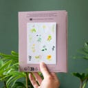 Rainbow Stickers - Create Rainbows Anywhere - stay wild