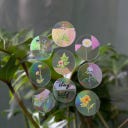 Rainbow Stickers - Create Rainbows Anywhere - stay wild