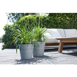 elho Pot VIBIA Straight Rond - 30 cm - Living ciment