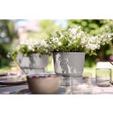 elho greenville Pot Round 25 cm - Hormigón vivo