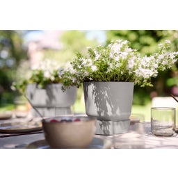 elho greenville Pot Round 25 cm - Hormigón vivo