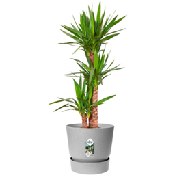 elho greenville round, 25 cm - cemento vivace