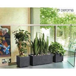 Vaso Quadro Millenium con Serbatoio d'Acqua - Antracite