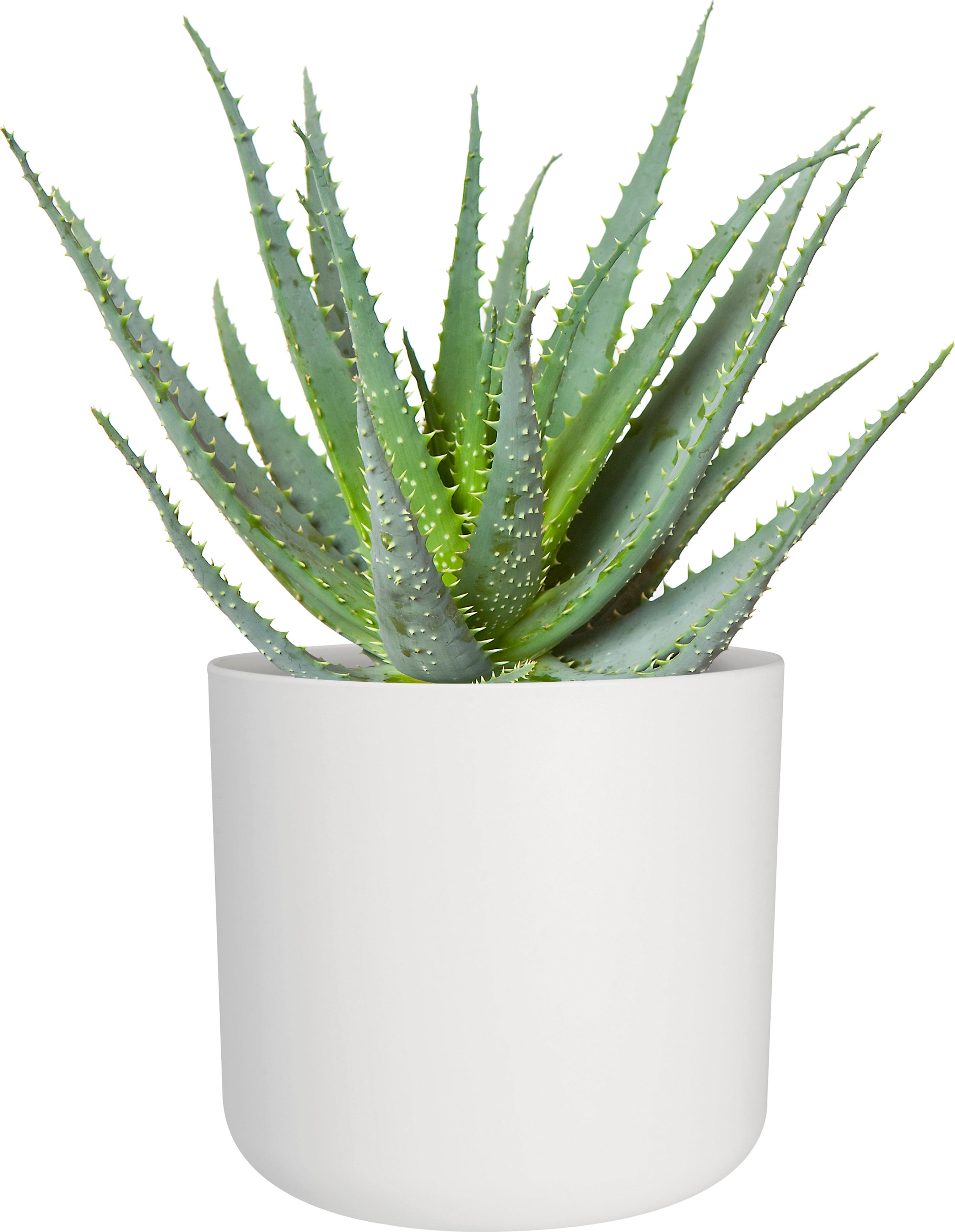 elho b.for Soft Round White