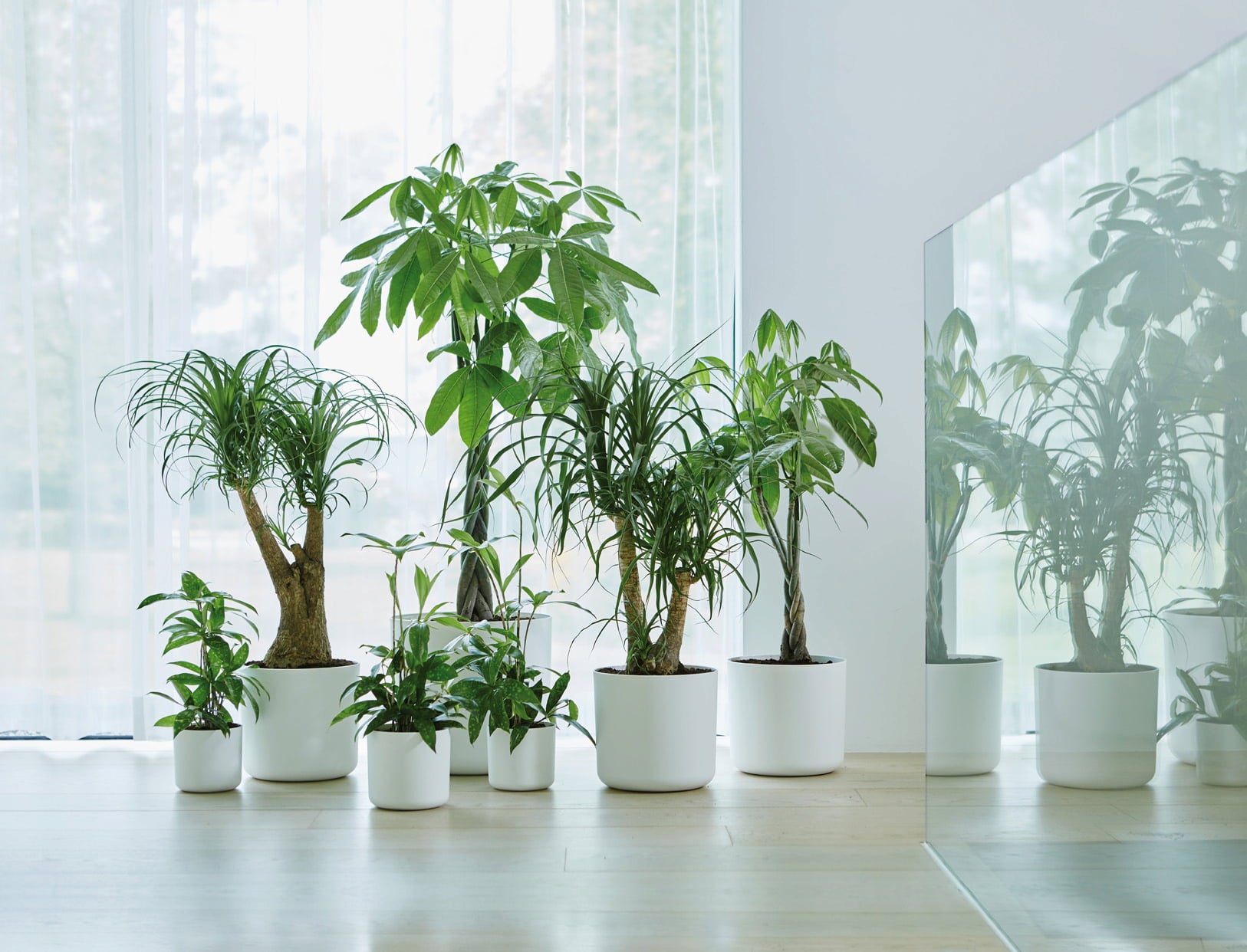 elho b.for Soft Round White