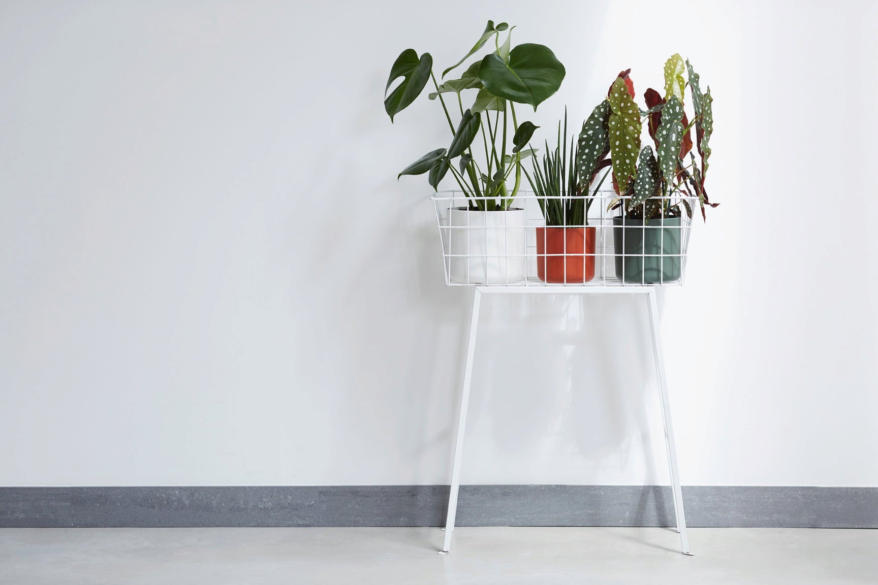 elho b.for Soft Round White