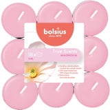 bolsius True Scents Duft-Teelichter 4h (18 Stk.)