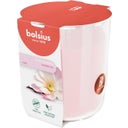 bolsius True Scents nagy illatú gyertya - Magnólia