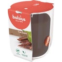 bolsius True Scents - Candela Profumata Piccola - Oud Wood