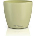 Lechuza Cache-Pot DECO 18 - tilleul