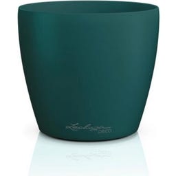 Lechuza Macetero - DECO 21 - Pino