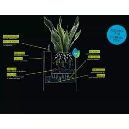 Lechuza CANTO Slatestone 40 high - dark grey