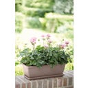 elho barcelona trough, 70 cm - Taupe