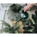 Metalen Binnengieter The Fazeley Flow, 0,5 liter - Groen