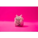 WILDPLASTIC Bolsa de Basura Wildbag 10 Litros - 1 ud.