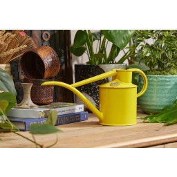 HAWS Indoor Metal Watering Can - 1 L - Lotus Yellow