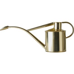 Arrosoir pour l'Intérieur 