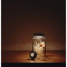 Sonnenglas® Mini – Solarlamp