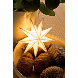 Fensterstern 9 Zacken mit Batteriefach & Timer ⌀ 15cm