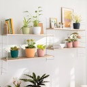 Lechuza Ytterkruka DECO 43