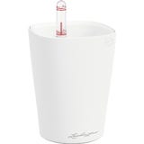 Lechuza MINI DELTINI