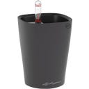 Lechuza Vaso - MINI DELTINI - Grigio basalto opaco