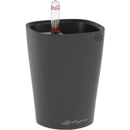 Lechuza Vaso - MINI DELTINI - Grigio basalto opaco