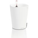 Lechuza DELTINI - Matte white