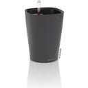 DELTINI, basaltgrå matt