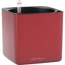 Lechuza CUBE 16 - rouge scarlet mat