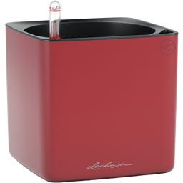 Lechuza CUBE 16 - rouge scarlet mat