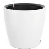 Lechuza CLASSICO Color LS 50