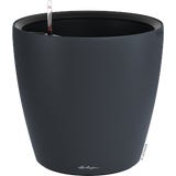 Lechuza CLASSICO Color LS 50