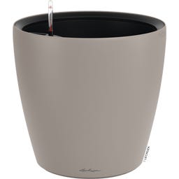 Lechuza CLASSICO Color LS 50 - brun sable