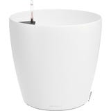 Lechuza CLASSICO Color 50