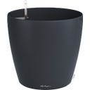 Lechuza CLASSICO Color 50 - Slate grey