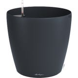 Lechuza CLASSICO Color 50