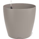 Lechuza CLASSICO Color 50 - sandbraun