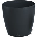 Lechuza CLASSICO Color 50 - Gris oscuro