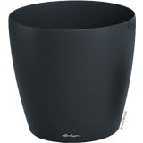 Lechuza CLASSICO Color 50