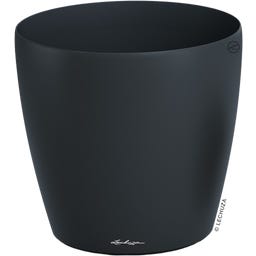 Lechuza CLASSICO Color 50 - Gris oscuro