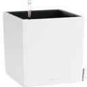 Lechuza CUBE Color 30 - White