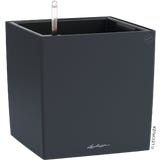 Lechuza CUBE Color 30