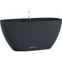 Lechuza NAVIO Color 20 - gris ardoise