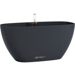 Lechuza NAVIO Color 20 - gris ardoise