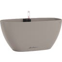 Lechuza NAVIO Color 20 - piaskowo-brązowy